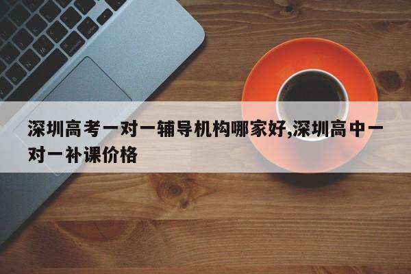 深圳高考一对一辅导机构哪家好,深圳高中一对一补课价格