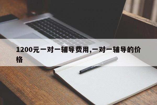 1200元一对一辅导费用,一对一辅导的价格